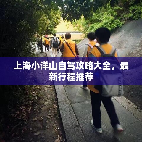 上海小洋山自駕攻略大全，最新行程推薦