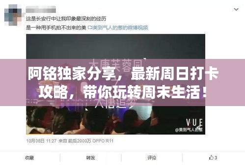 阿銘?yīng)毤曳窒?，最新周日打卡攻略，帶你玩轉(zhuǎn)周末生活！