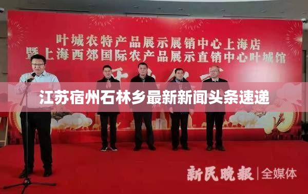 江蘇宿州石林鄉(xiāng)最新新聞?lì)^條速遞