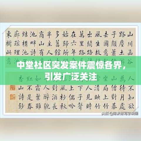 中堂社區(qū)突發(fā)案件震驚各界，引發(fā)廣泛關(guān)注