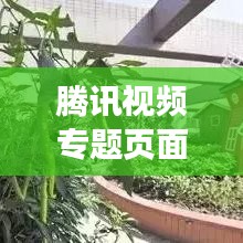 騰訊視頻專題頁(yè)面，深度內(nèi)容與用戶體驗(yàn)的交融呈現(xiàn)