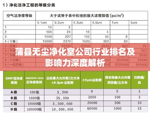 蒲縣無(wú)塵凈化室公司行業(yè)排名及影響力深度解析