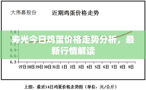 壽光今日雞蛋價(jià)格走勢(shì)分析，最新行情解讀