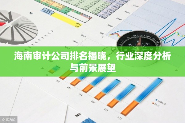 海南審計(jì)公司排名揭曉，行業(yè)深度分析與前景展望