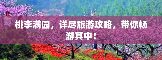 桃李滿園，詳盡旅游攻略，帶你暢游其中！
