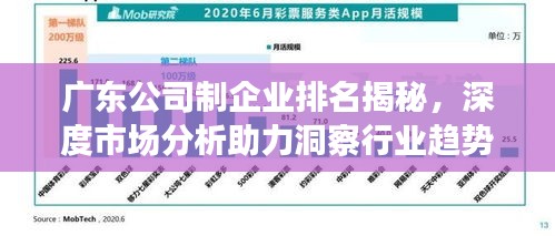 廣東公司制企業(yè)排名揭秘，深度市場分析助力洞察行業(yè)趨勢