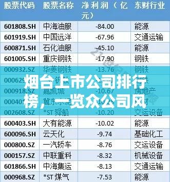 煙臺(tái)上市公司排行榜，一覽眾公司風(fēng)采
