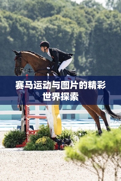 賽馬運動與圖片的精彩世界探索