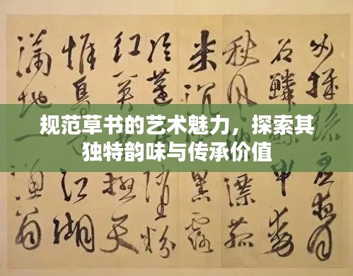規(guī)范草書的藝術(shù)魅力，探索其獨(dú)特韻味與傳承價(jià)值