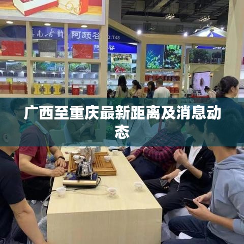 廣西至重慶最新距離及消息動(dòng)態(tài)