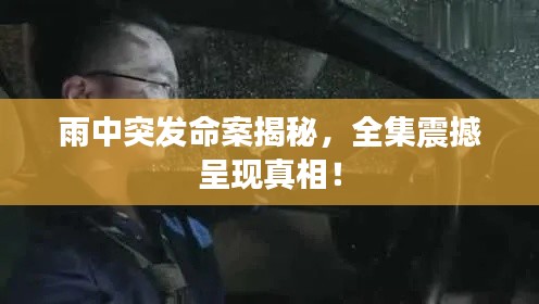 雨中突發(fā)命案揭秘，全集震撼呈現(xiàn)真相！