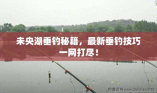 未央湖垂釣秘籍，最新垂釣技巧一網(wǎng)打盡！