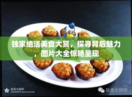 獨(dú)家絕活美食大賞，探尋背后魅力，圖片大全驚艷呈現(xiàn)