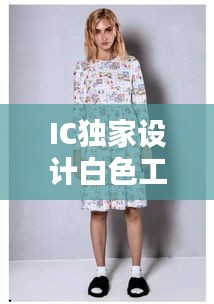 澹泊明志