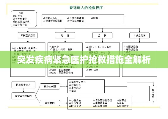 突發(fā)疾病緊急醫(yī)護(hù)搶救措施全解析