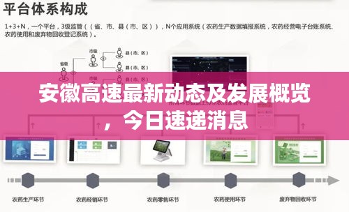 眼張失道