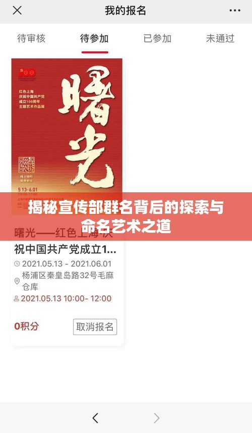 揭秘宣傳部群名背后的探索與命名藝術之道