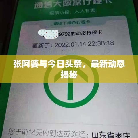 張阿婆與今日頭條，最新動態(tài)揭秘