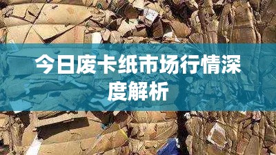今日廢卡紙市場行情深度解析