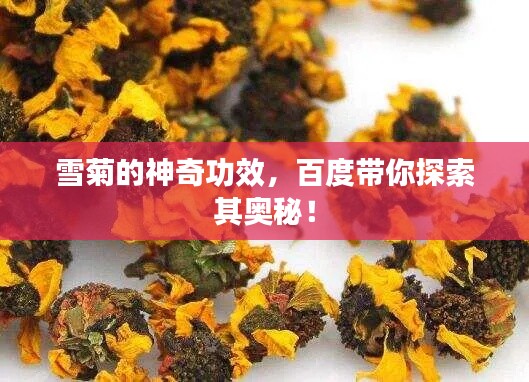 雪菊的神奇功效，百度帶你探索其奧秘！
