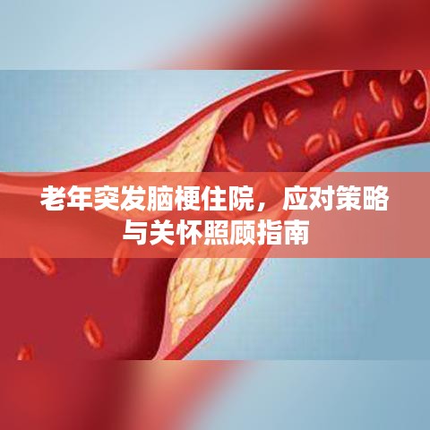 老年突發(fā)腦梗住院，應(yīng)對(duì)策略與關(guān)懷照顧指南