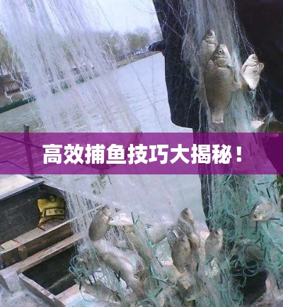 高效捕魚(yú)技巧大揭秘！