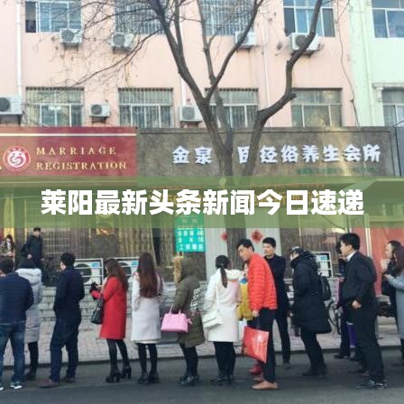 萊陽最新頭條新聞今日速遞