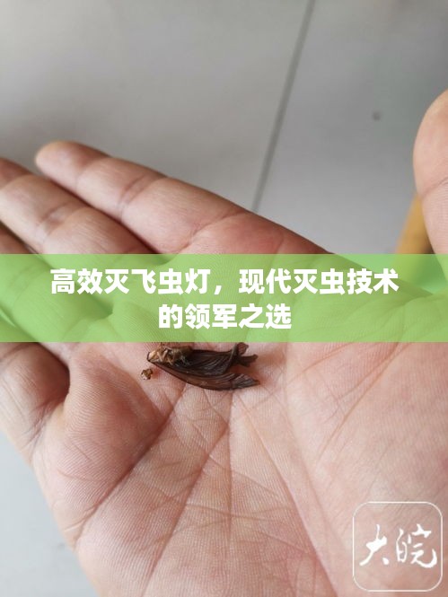范張雞黍