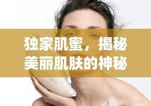 驚弦之鳥