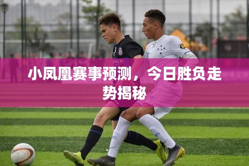 小鳳凰賽事預(yù)測，今日勝負走勢揭秘