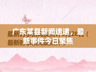 廣東某縣新聞速遞，最新事件今日聚焦