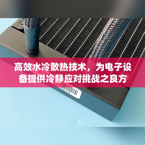 飛揚跋扈