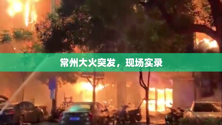 悠然自得
