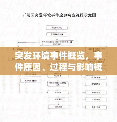 突發(fā)環(huán)境事件概覽，事件原因、過程與影響概述
