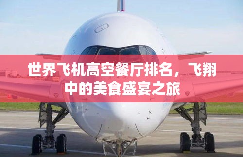 世界飛機(jī)高空餐廳排名，飛翔中的美食盛宴之旅