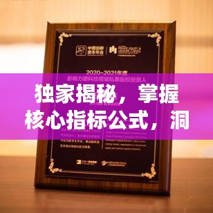 獨(dú)家揭秘，掌握核心指標(biāo)公式，洞悉奧秘秘籍大全