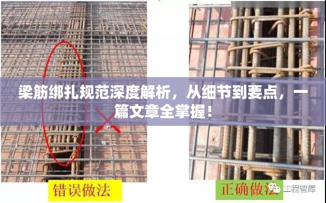 冰肌玉骨