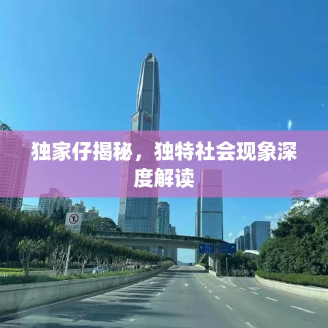 獨家仔揭秘，獨特社會現(xiàn)象深度解讀