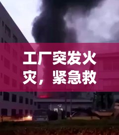 工廠突發(fā)火災(zāi)，緊急救援與事故反思，警鐘長鳴！
