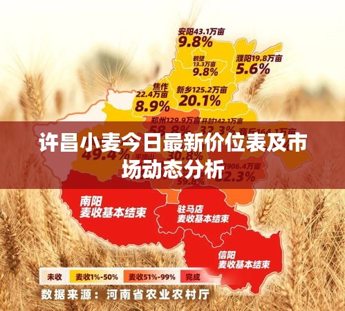 許昌小麥今日最新價(jià)位表及市場動(dòng)態(tài)分析