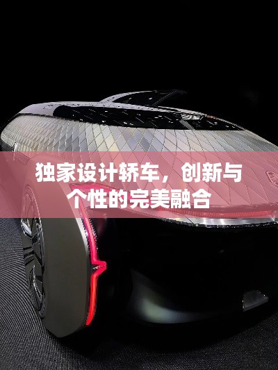 獨家設計轎車，創(chuàng)新與個性的完美融合