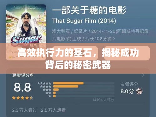 高效執(zhí)行力的基石，揭秘成功背后的秘密武器