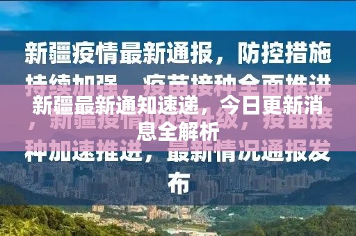 新疆最新通知速遞，今日更新消息全解析