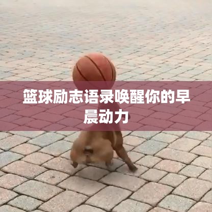 籃球勵志語錄喚醒你的早晨動力