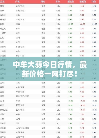 中牟大蒜今日行情，最新價格一網(wǎng)打盡！