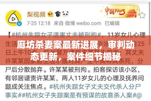 廊坊殺妻案最新進展，審判動態(tài)更新，案件細節(jié)揭秘