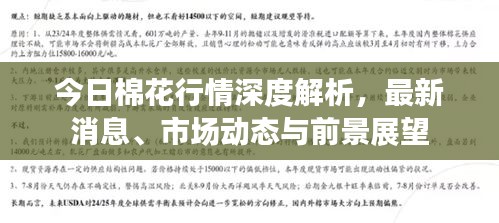 今日棉花行情深度解析，最新消息、市場動態(tài)與前景展望