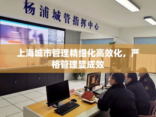 上海城市管理精細(xì)化高效化，嚴(yán)格管理顯成效