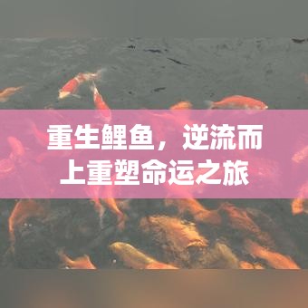 重生鯉魚，逆流而上重塑命運(yùn)之旅