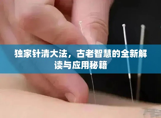 獨(dú)家針清大法，古老智慧的全新解讀與應(yīng)用秘籍